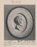 Pliny the Elder.