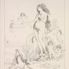 Plate VII