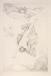 Plate VIII