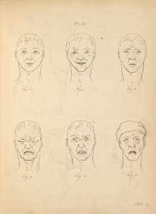 The works of the late Professor Camper,
