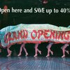 Flyer advertising the 2002 revival of Flower drum song