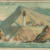 Heceta head light