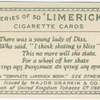 There was a young lady of Diss,....