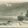 The White Horse , Ashdown, Berkshire.