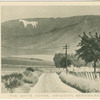 The White Horse , Ashdown, Berkshire.