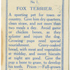 Fox Terrier with Puppies.