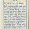 Dutch and Old English Rabbits.