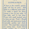 Guinea-Pigs.