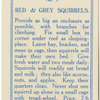 Red and Grey Squirrels.