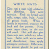 White Rats.