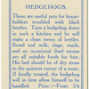 Hedgehogs.