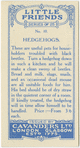 Hedgehogs.