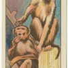 Monkeys.