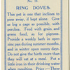 Ring Doves.