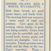 RHode Island Red and White Wyandotte.