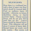 Silkworms.