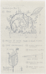 Phoebus and Pan : Set