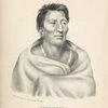Ongpatonga, [Big Elk] Chief of the Omawhaws