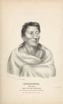Ongpatonga, [Big Elk] Chief of the Omawhaws