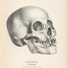 Dacota, N.W. Territory