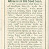 Gloucester Old Spot boar.