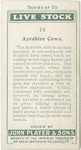 Ayrshire cows.