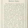 Kerry cow.