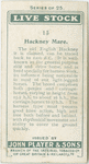 Hackney mare.