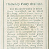 Hackney Pony stallion.