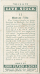 Hunter filly.