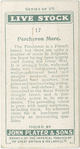 Percheron Mare.
