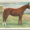 Polo Pony.