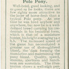 Polo Pony.