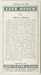 Shire Mare.
