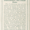 Southdown Two Shear Ram.