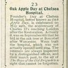 Oak Apple Day at Chelsea Hospital.