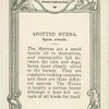 Spotted Hyena.