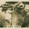 Camel Riding.