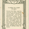 Llamas in Cart.