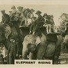Elephant Riding.