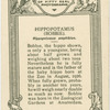 Hippopotamus " Bobbie".