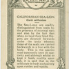 Sea Lion.