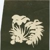 Set of 9 projection templates of palm leaves