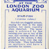 Star-Fish.