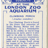 Climbing Perch.