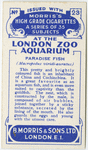 Paradise Fish.