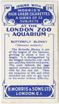 Butterfly Blenny.