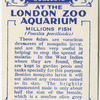 Millions Fish.