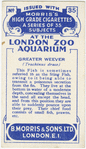 Greater Weever.