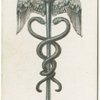 The Caduceus